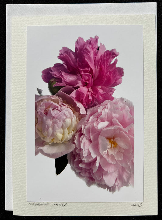 Three Peonies!