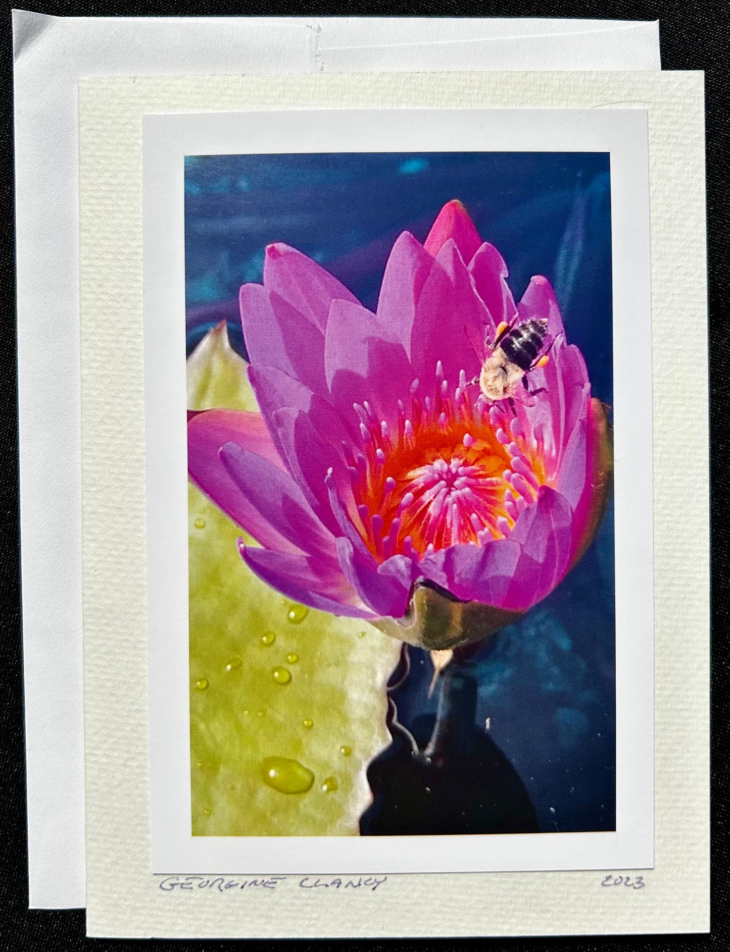 Water Lily and the Bee