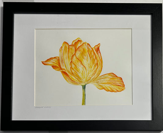 Orange Tulip, One of a kind, Watercolor, NOT A PRINT, Art, Original, Spring, Wall Art, Home Decor