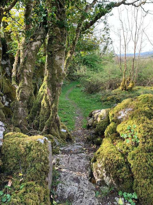 A Walk in the Burren