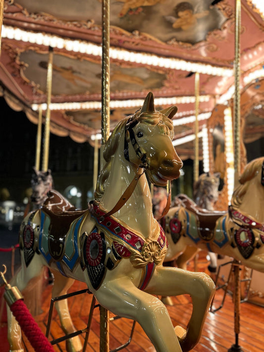 Carousel Horse at Piazza della Repubblica - Florence